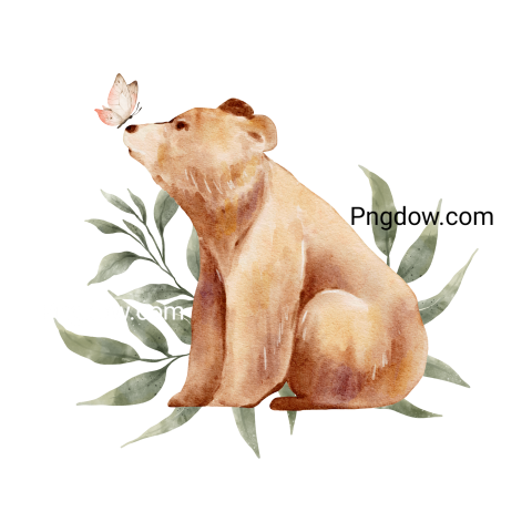 Bear Png Transparent Background, for Free Vector, (45)