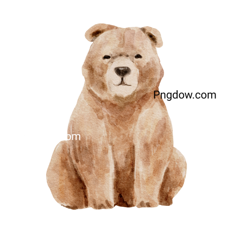 Bear Png Transparent Background, for Free Vector, (38)