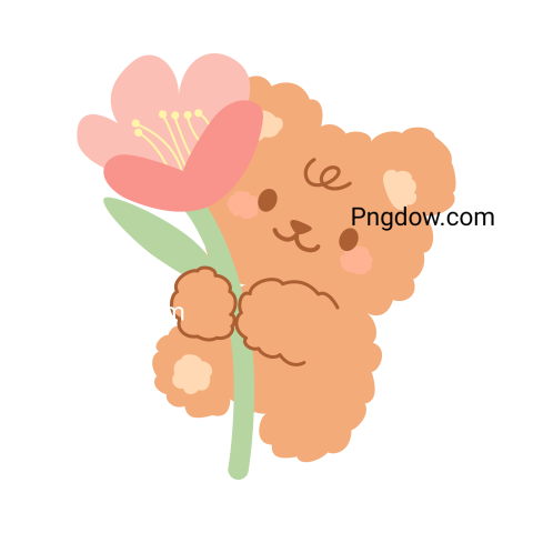 Bear Png Transparent Background, for Free Vector, (62)