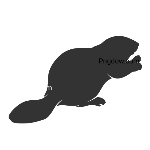 Beaver Png Transparent Background, for Free Vector, (59)