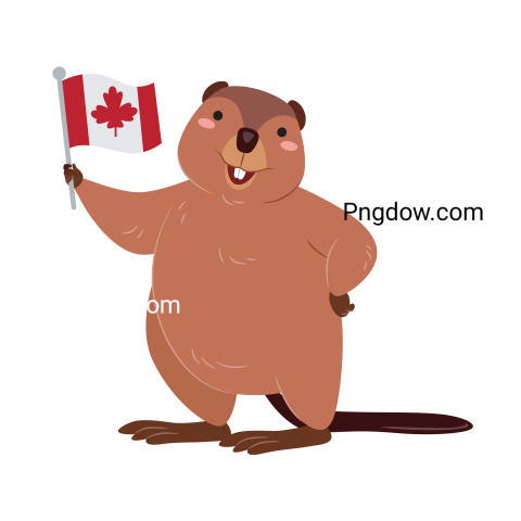 Beaver Png Transparent Background, for Free Vector, (51)