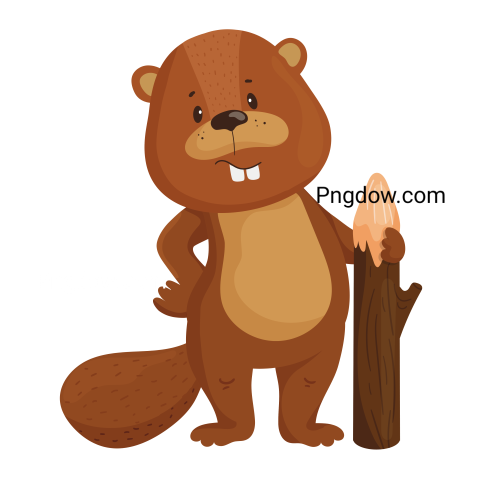 Beaver Png Transparent Background, for Free Vector, (58)