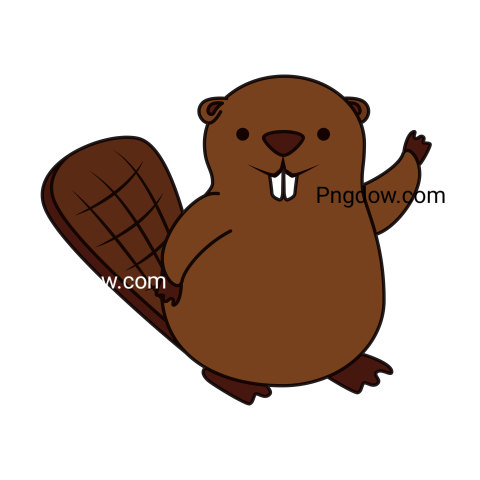 Beaver Png Transparent Background, for Free Vector, (53)