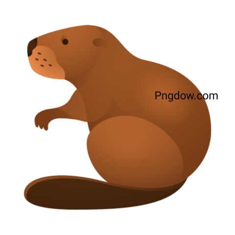 Beaver Png Transparent Background, for Free Vector, (61)