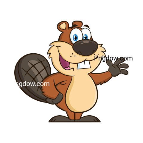 Beaver Png Transparent Background, for Free Vector, (48)