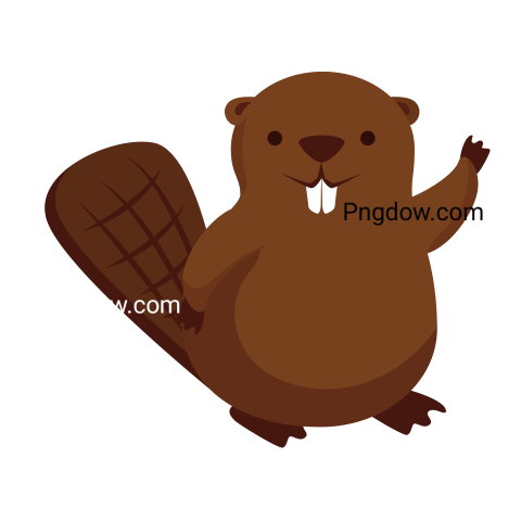 Beaver Png Transparent Background, for Free Vector, (65)