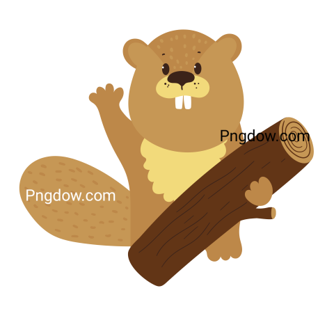Beaver Png Transparent Background, for Free Vector, (42)
