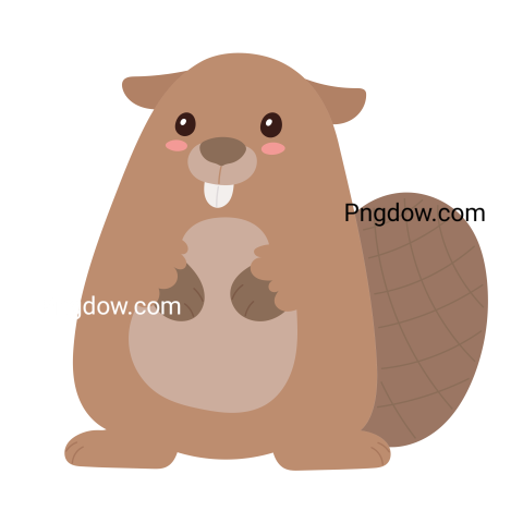 Beaver Png Transparent Background, for Free Vector, (31)