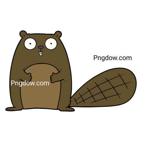 Beaver Png Transparent Background, for Free Vector, (29)