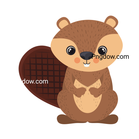Beaver Png Transparent Background, for Free Vector, (39)