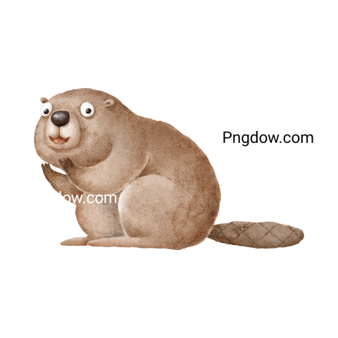 Beaver Png Transparent Background, for Free Vector, (37)