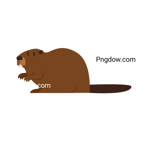 Beaver Png Transparent Background, for Free Vector, (21)