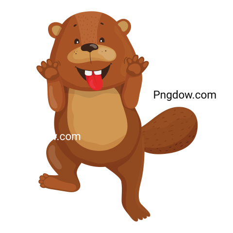 Beaver Png Transparent Background, for Free Vector, (20)
