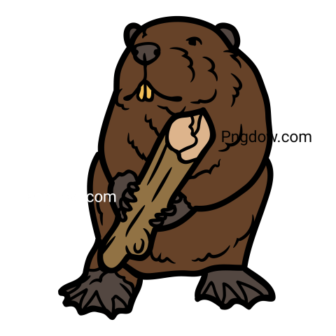 Beaver Png Transparent Background, for Free Vector, (19)