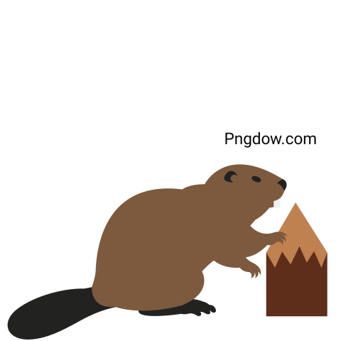 Beaver Png Transparent Background, for Free Vector, (6)