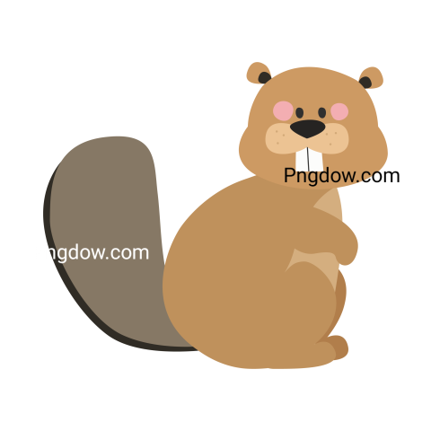 Beaver Png Transparent Background, for Free Vector, (16)