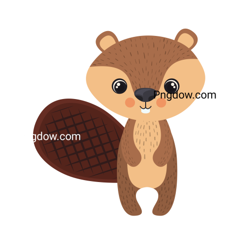 Beaver Png Transparent Background, for Free Vector, (17)