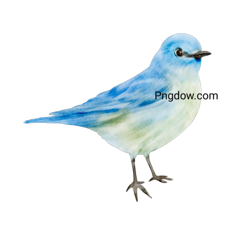Birds Png image with transparent background for free, Birds, (75)