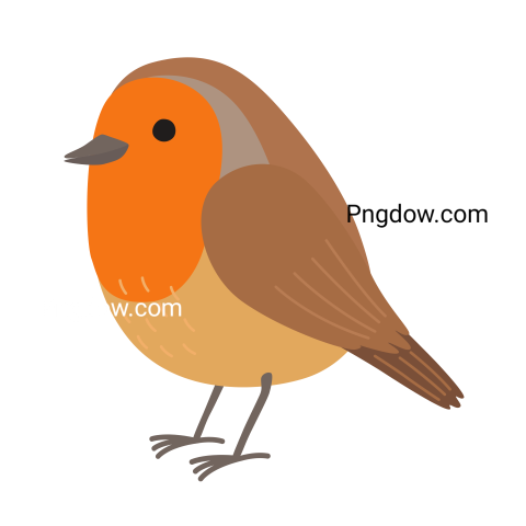 Birds Png image with transparent background for free, Birds, (65)