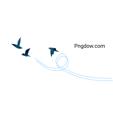 Birds Png image with transparent background for free, Birds, (62)