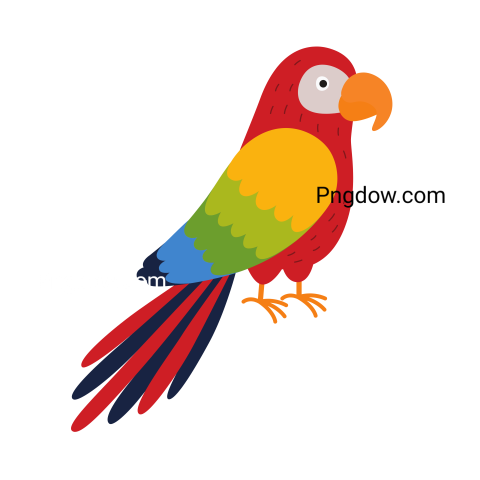 Birds Png image with transparent background for free, Birds, (38)
