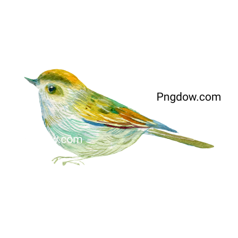 Birds Png image with transparent background for free, Birds, (30)