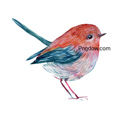 Birds Png image with transparent background for free, Birds, (57)