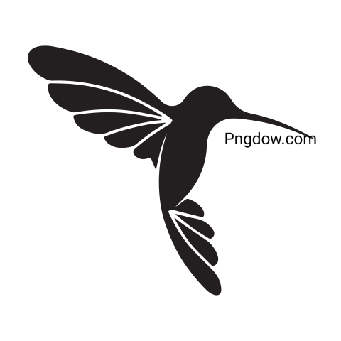 Birds Png image with transparent background for free, Birds, (7)