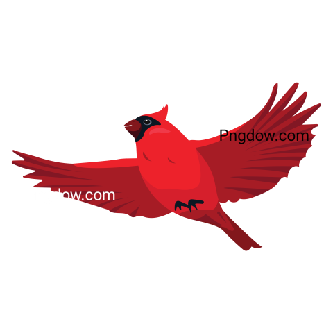 Birds Png image with transparent background for free, Birds, (39)