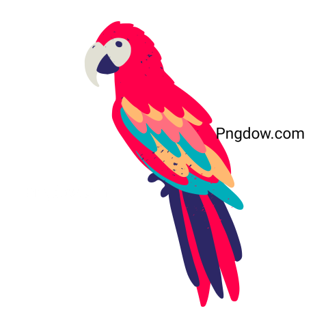 Birds Png image with transparent background for free, Birds, (12)