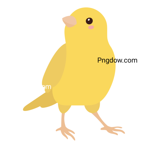 Birds Png image with transparent background for free, Birds, (14)
