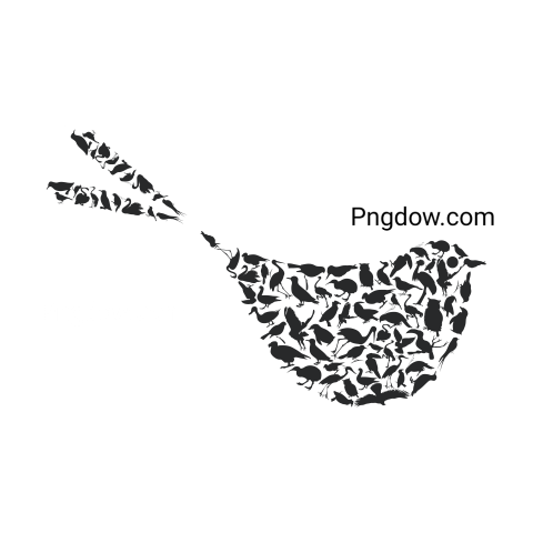 Birds Png image with transparent background for free, Birds, (13)