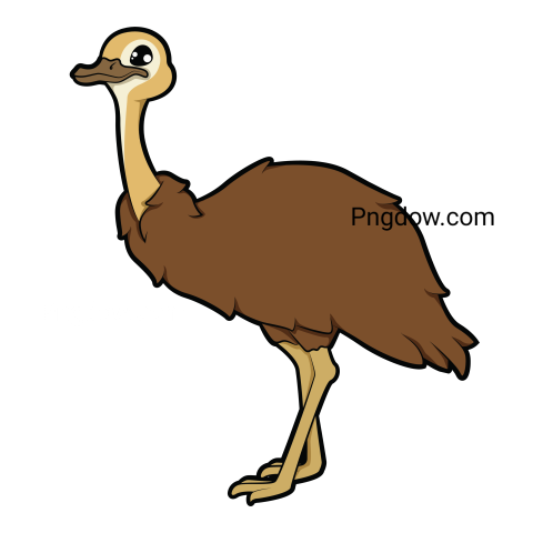 Birds Png image with transparent background for free, Birds, (25)