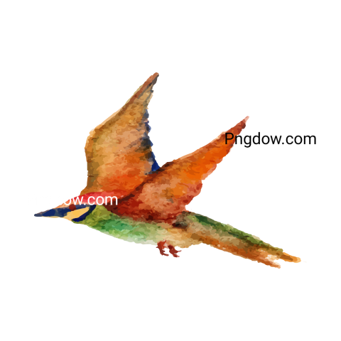 Birds Png image with transparent background for free, Birds, (44)