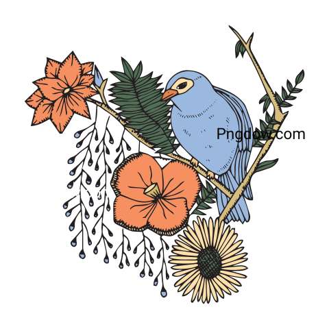 Birds Png image with transparent background for free, Birds, (22)