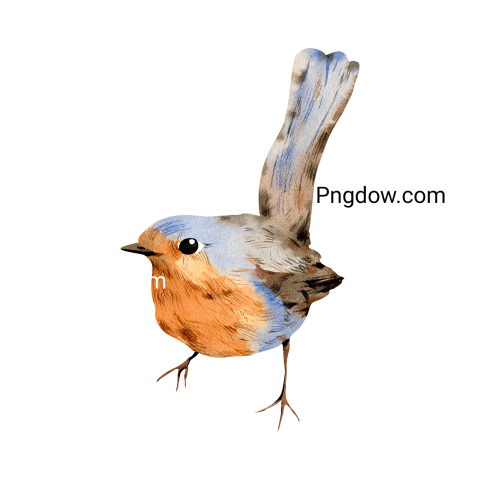 Birds Png image with transparent background for free, Birds, (6)