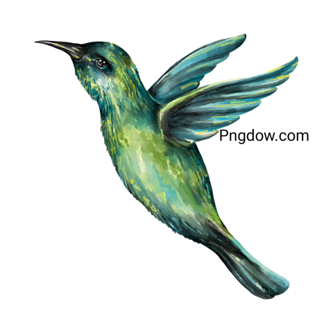 Birds Png image with transparent background for free, Birds, (42)