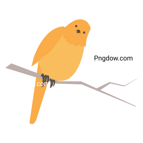 Birds Png image with transparent background for free, Birds, (2)