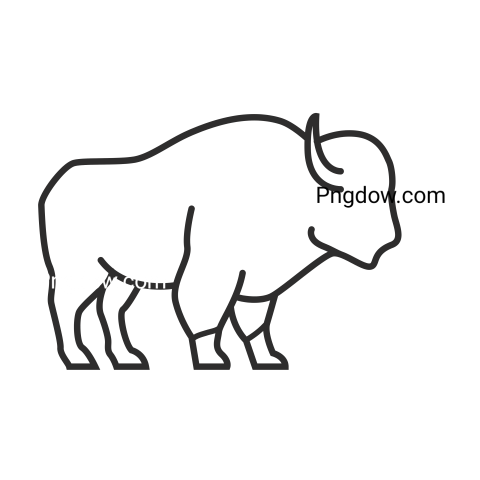 Bison Png image with transparent background for free, Bison, (74)