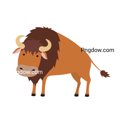 Bison Png image with transparent background for free, Bison, (73)
