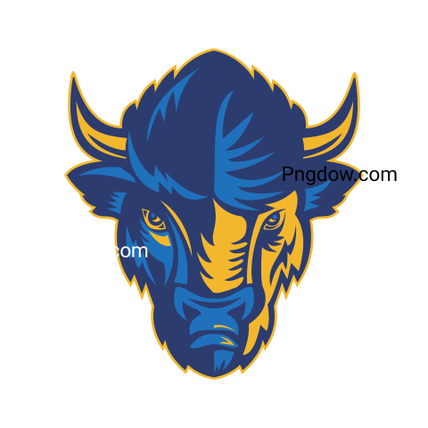 Bison Png image with transparent background for free, Bison, (75)