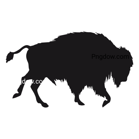 Bison Png image with transparent background for free, Bison, (41)