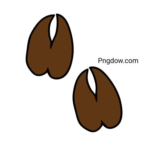 Bison Png image with transparent background for free, Bison, (37)