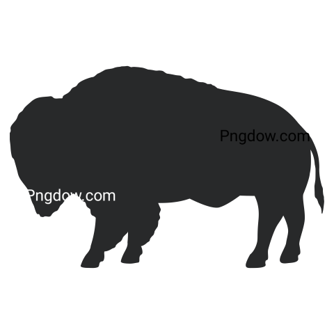 Bison Png image with transparent background for free, Bison, (56)