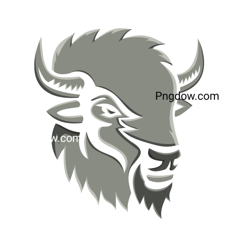 Bison Png image with transparent background for free, Bison, (42)