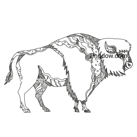 Bison Png image with transparent background for free, Bison, (23)