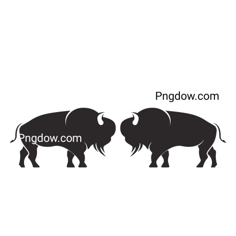 Bison Png image with transparent background for free, Bison, (12)