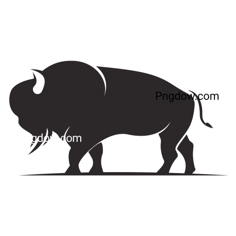 Bison Png image with transparent background for free, Bison, (13)