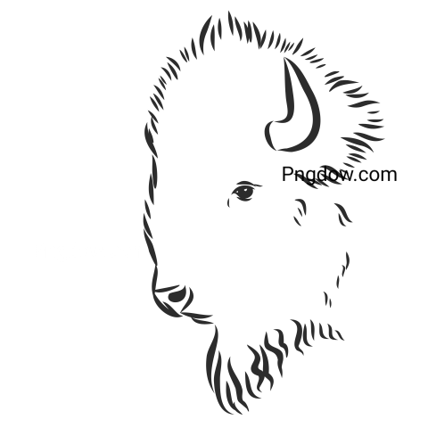 Bison Png image with transparent background for free, Bison, (6)
