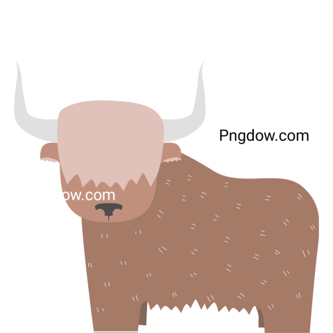 Bison Png image with transparent background for free, Bison, (10)